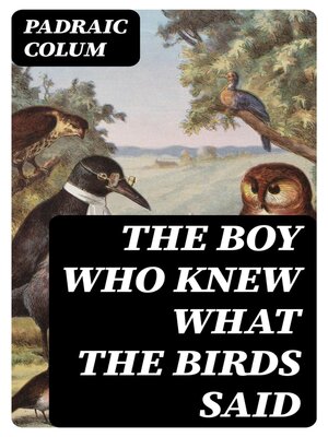 cover image of The Boy Who Knew What the Birds Said